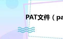 PAT文件（pat是什么格式）