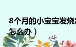 8个月的小宝宝发烧怎么办（8个月婴儿发烧怎么办）