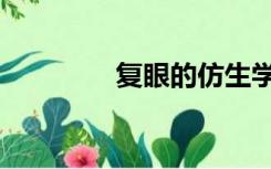 复眼的仿生学应用（复眼）