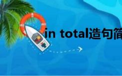 in total造句简单（in total）