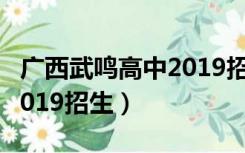 广西武鸣高中2019招生电话（广西武鸣高中2019招生）