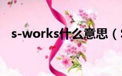 s-works什么意思（S WORKS是什么车）