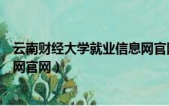 云南财经大学就业信息网官网登录（云南财经大学就业信息网官网）