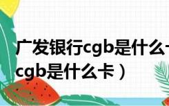 广发银行cgb是什么卡有什么优惠（广发银行cgb是什么卡）