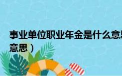 事业单位职业年金是什么意思呀（事业单位职业年金是什么意思）