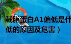 载脂蛋白A1偏低是什么原因?（载脂蛋白a1偏低的原因及危害）