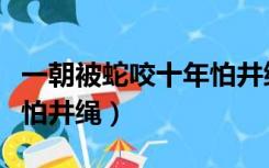 一朝被蛇咬十年怕井绳英文（一朝被蛇咬十年怕井绳）