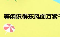 等闲识得东风面万紫千红总是春的意思生肖