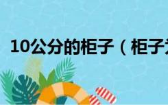 10公分的柜子（柜子为什么下面有10公分）