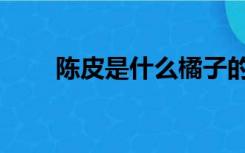 陈皮是什么橘子的皮（陈皮是什么）