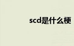 scd是什么梗（sc是什么梗）