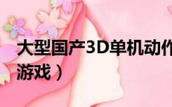 大型国产3D单机动作游戏（大型3d动作单机游戏）