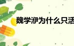 魏学洢为什么只活了29岁（魏学洢）