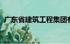 广东省建筑工程集团有限公司总承包事业部