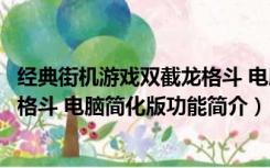 经典街机游戏双截龙格斗 电脑简化版（经典街机游戏双截龙格斗 电脑简化版功能简介）