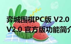 弈城围棋PC版 V2.0 官方版（弈城围棋PC版 V2.0 官方版功能简介）