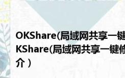 OKShare(局域网共享一键修复) V19.3.13 官方最新版（OKShare(局域网共享一键修复) V19.3.13 官方最新版功能简介）