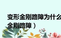 变形金刚路障为什么能从变1活到变5（变形金刚路障）