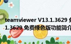 teamviewer V13.1.3629 免费绿色版（teamviewer V13.1.3629 免费绿色版功能简介）