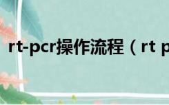 rt-pcr操作流程（rt pcr的步骤和注意事项）