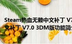 Steam热血无赖中文补丁 V7.0 3DM版（Steam热血无赖中文补丁 V7.0 3DM版功能简介）