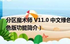 分区魔术师 V11.0 中文绿色版（分区魔术师 V11.0 中文绿色版功能简介）