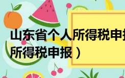 山东省个人所得税申报操作流程（山东省个人所得税申报）