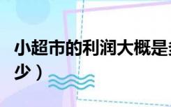 小超市的利润大概是多少（小超市的利润是多少）