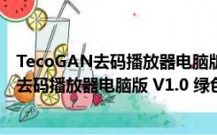 TecoGAN去码播放器电脑版 V1.0 绿色免费版（TecoGAN去码播放器电脑版 V1.0 绿色免费版功能简介）