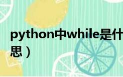 python中while是什么意思（while是什么意思）