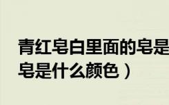 青红皂白里面的皂是什么颜色?（青红皂白的皂是什么颜色）