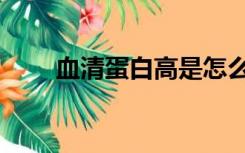 血清蛋白高是怎么回事（血清蛋白）