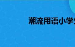 潮流用语小学生（潮流用语）