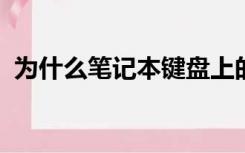 为什么笔记本键盘上的数字打不出来怎么办