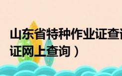 山东省特种作业证查询系统（山东省特种作业证网上查询）