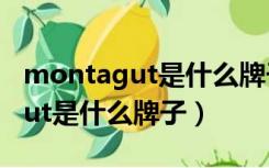 montagut是什么牌子钢笔多少元（montagut是什么牌子）