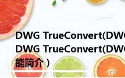 DWG TrueConvert(DWG文件转换) V2020 中文免费版（DWG TrueConvert(DWG文件转换) V2020 中文免费版功能简介）