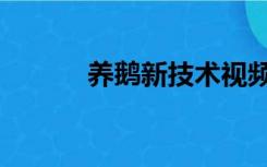 养鹅新技术视频（养鹅新技术）