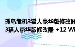 孤岛危机3猎人豪华版修改器 +12 Win10免费版（孤岛危机3猎人豪华版修改器 +12 Win10免费版功能简介）