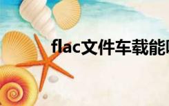 flac文件车载能听吗（flac文件）