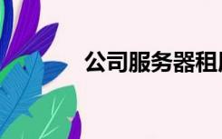 公司服务器租用（公司服务）