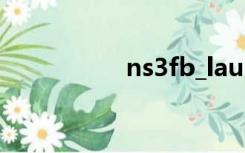 ns3fb_launcher  exe