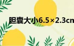 胆囊大小6.5×2.3cm正常吗（胆囊大小）