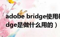 adobe bridge使用教程（谁知道Adobe Bridge是做什么用的）