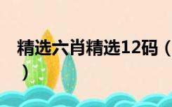 精选六肖精选12码（六肖资料精准6肖10中9）