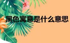 黑色寓意是什么意思（黑色的寓意是什么）