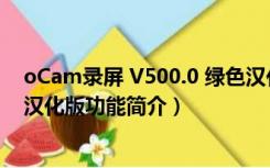 oCam录屏 V500.0 绿色汉化版（oCam录屏 V500.0 绿色汉化版功能简介）