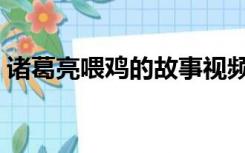 诸葛亮喂鸡的故事视频（诸葛亮喂鸡的故事）