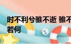 时不利兮骓不逝 骓不逝兮可奈何 虞兮虞兮奈若何