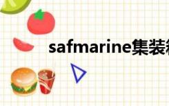 safmarine集装箱（safmarine）